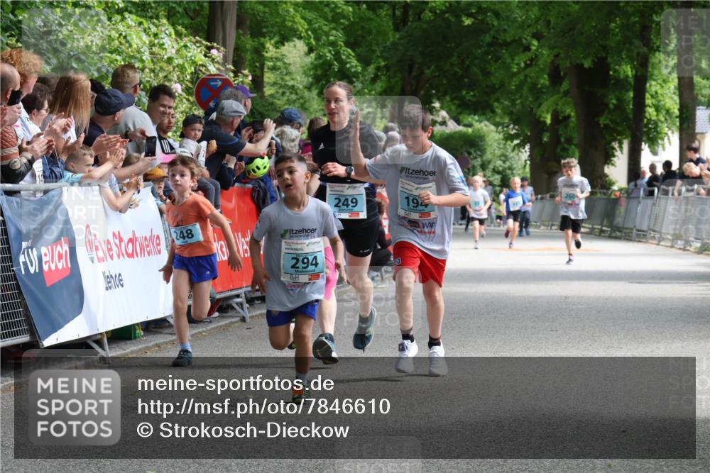 17.05.2025 - Störlauf Strokosch-Dieckow http://msf.ph/oto/7846610 17.05.2025 13:40:32 Ziel 248, 294, 249, 194 meine-sportfotos.de
