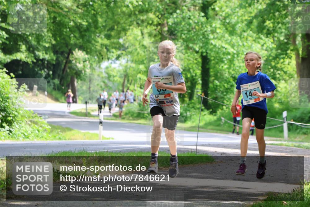 17.05.2025 - Störlauf Strokosch-Dieckow http://msf.ph/oto/7846621 17.05.2025 13:39:13 Laufen 14 meine-sportfotos.de