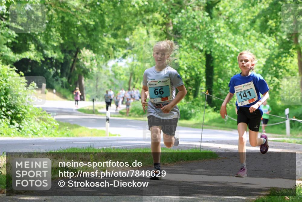 17.05.2025 - Störlauf Strokosch-Dieckow http://msf.ph/oto/7846629 17.05.2025 13:39:13 Laufen 66, 20, 141 meine-sportfotos.de