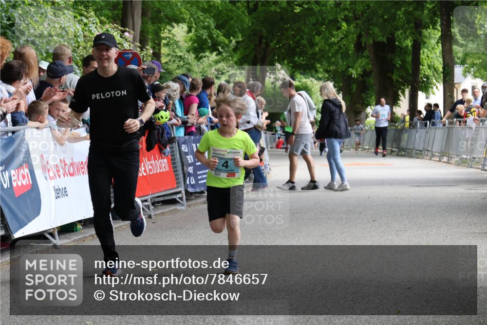 17.05.2025 - Störlauf Strokosch-Dieckow http://msf.ph/oto/7846657 17.05.2025 13:41:01 Ziel 40, 2025 meine-sportfotos.de