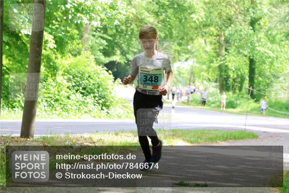 17.05.2025 - Störlauf Strokosch-Dieckow http://msf.ph/oto/7846674 17.05.2025 13:39:19 Laufen 2025, 348 meine-sportfotos.de