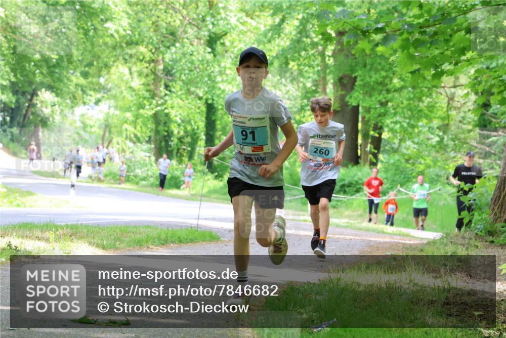 17.05.2025 - Störlauf Strokosch-Dieckow http://msf.ph/oto/7846682 17.05.2025 13:39:21 Laufen 2025, 91, 260 meine-sportfotos.de