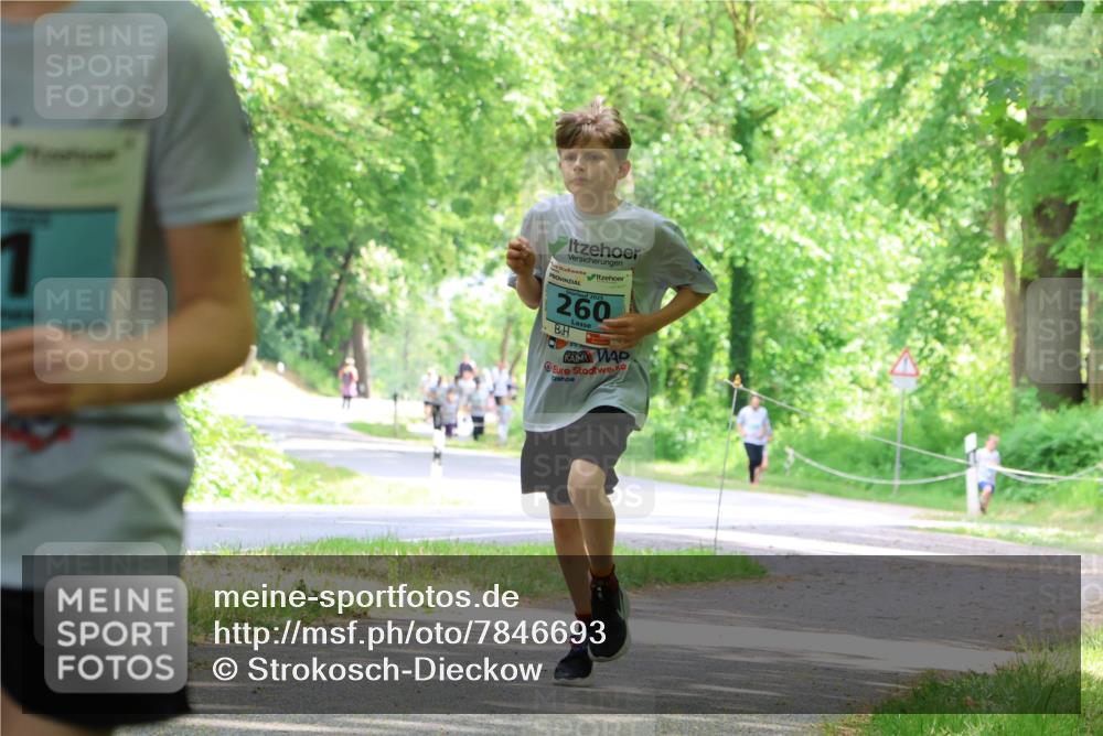 17.05.2025 - Störlauf Strokosch-Dieckow http://msf.ph/oto/7846693 17.05.2025 13:39:24 Laufen 2025, 260 meine-sportfotos.de