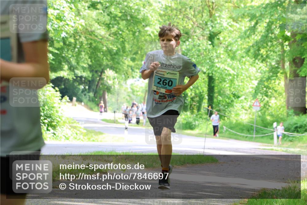 17.05.2025 - Störlauf Strokosch-Dieckow http://msf.ph/oto/7846697 17.05.2025 13:39:24 Laufen 2025, 260 meine-sportfotos.de