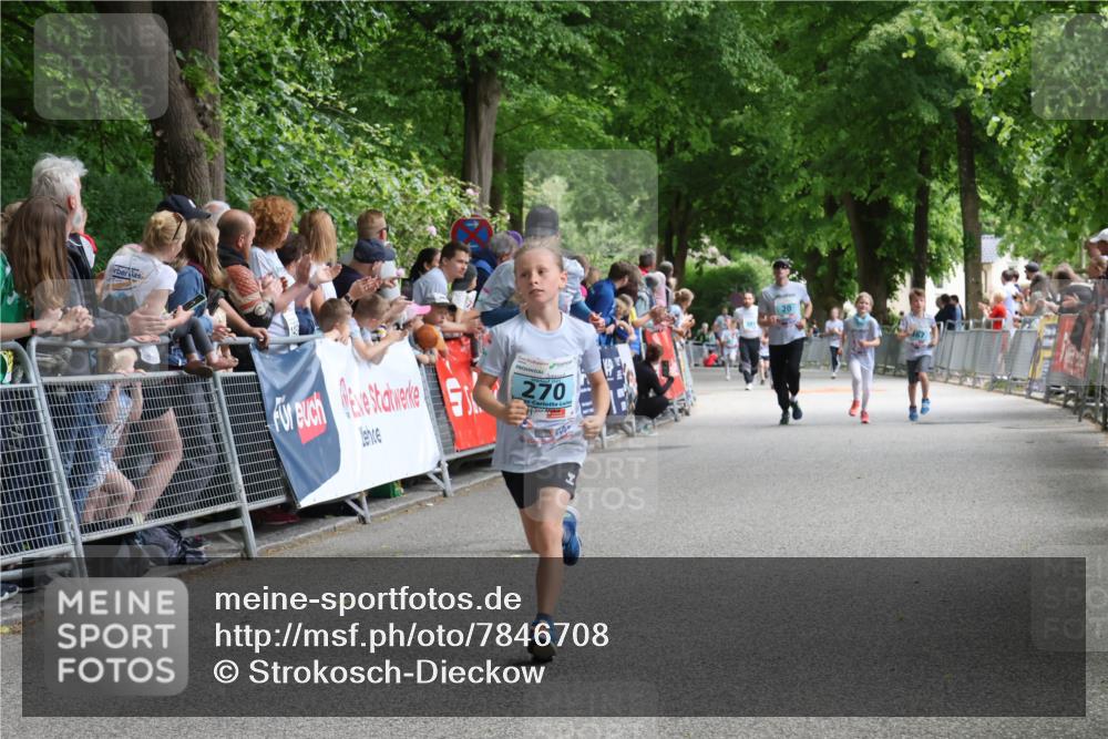 17.05.2025 - Störlauf Strokosch-Dieckow http://msf.ph/oto/7846708 17.05.2025 13:41:33 Ziel 270 meine-sportfotos.de