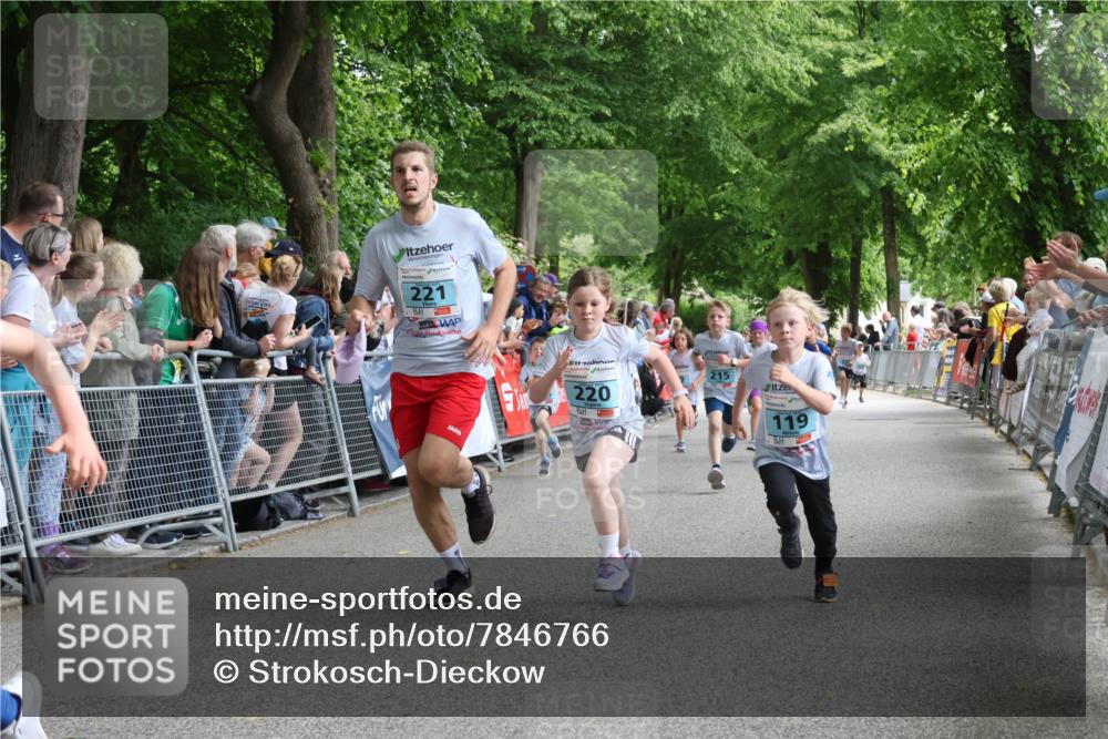 17.05.2025 - Störlauf Strokosch-Dieckow http://msf.ph/oto/7846766 17.05.2025 13:42:01 Ziel 221, 220, 215, 119 meine-sportfotos.de