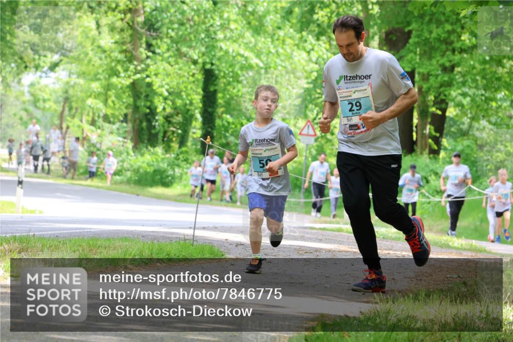 17.05.2025 - Störlauf Strokosch-Dieckow http://msf.ph/oto/7846775 17.05.2025 13:39:44 Laufen 50, 29 meine-sportfotos.de