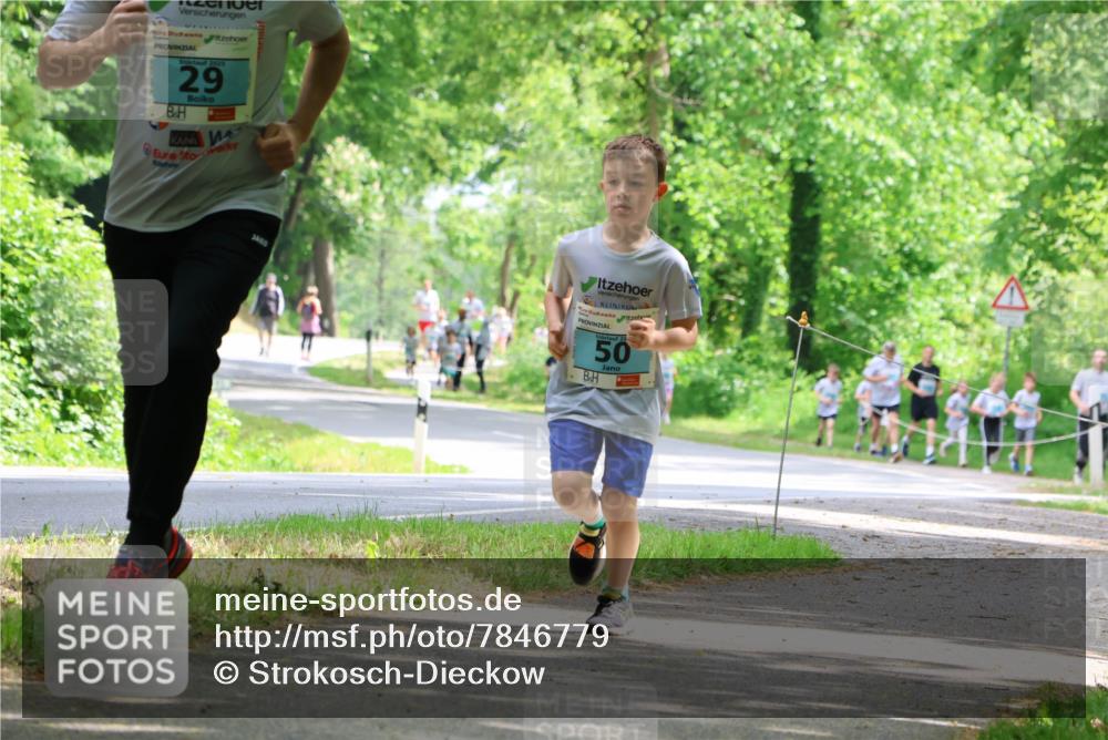 17.05.2025 - Störlauf Strokosch-Dieckow http://msf.ph/oto/7846779 17.05.2025 13:39:46 Laufen 2025, 29, 50 meine-sportfotos.de