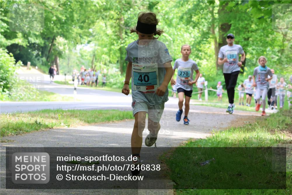 17.05.2025 - Störlauf Strokosch-Dieckow http://msf.ph/oto/7846838 17.05.2025 13:39:57 Laufen 2025, 40, 270 meine-sportfotos.de