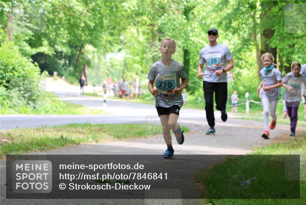 17.05.2025 - Störlauf Strokosch-Dieckow http://msf.ph/oto/7846841 17.05.2025 13:39:59 Laufen 270, 20, 47 meine-sportfotos.de
