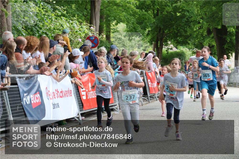 17.05.2025 - Störlauf Strokosch-Dieckow http://msf.ph/oto/7846848 17.05.2025 13:42:46 Ziel 237, 16, 365 meine-sportfotos.de