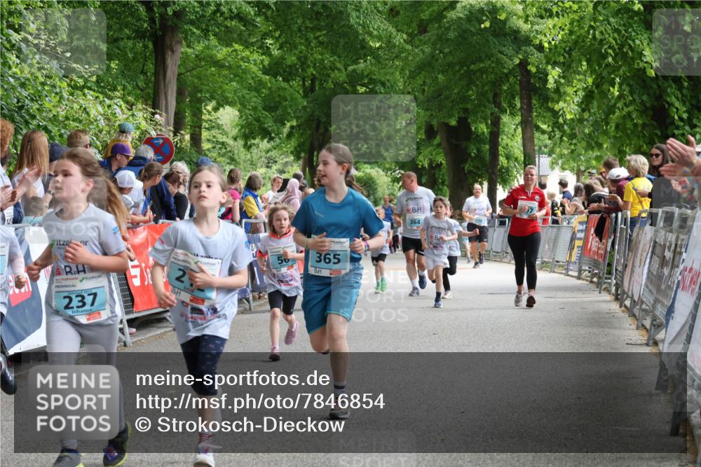17.05.2025 - Störlauf Strokosch-Dieckow http://msf.ph/oto/7846854 17.05.2025 13:42:47 Ziel 56, 365, 237, 252, 364 meine-sportfotos.de