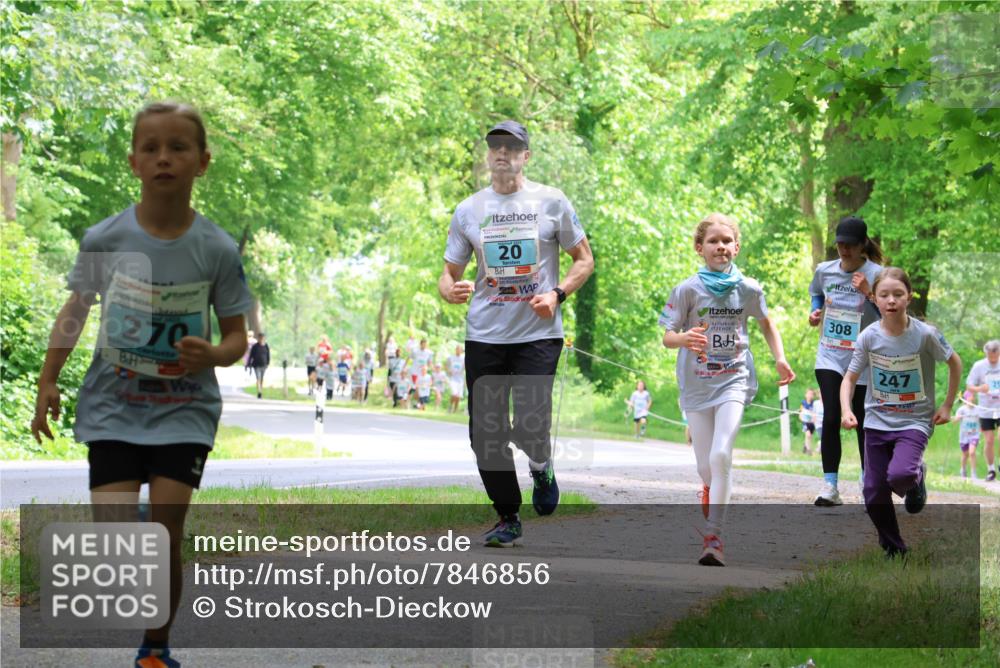 17.05.2025 - Störlauf Strokosch-Dieckow http://msf.ph/oto/7846856 17.05.2025 13:40:01 Laufen 270, 20, 308, 247 meine-sportfotos.de