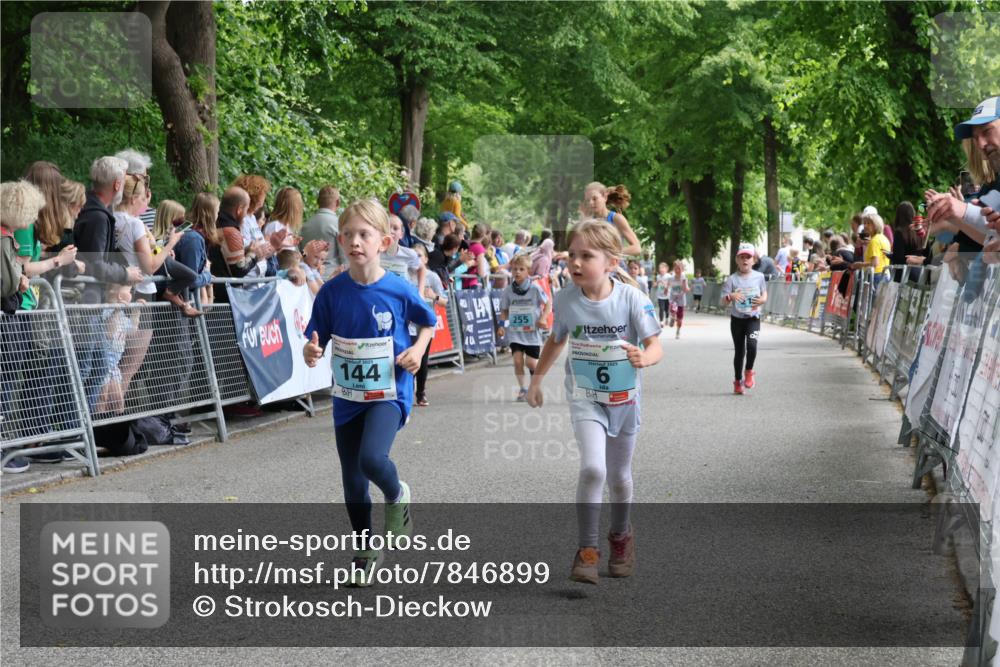 17.05.2025 - Störlauf Strokosch-Dieckow http://msf.ph/oto/7846899 17.05.2025 13:43:06 Ziel 144, 255, 2025, 6 meine-sportfotos.de