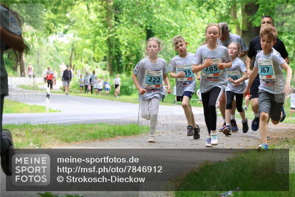 17.05.2025 - Störlauf Strokosch-Dieckow http://msf.ph/oto/7846912 17.05.2025 13:40:12 Laufen 222, 35, 285, 367 meine-sportfotos.de