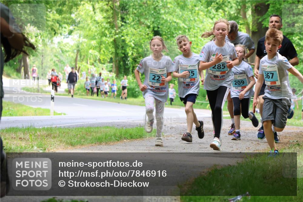 17.05.2025 - Störlauf Strokosch-Dieckow http://msf.ph/oto/7846916 17.05.2025 13:40:12 Laufen 22, 35, 285, 209, 367 meine-sportfotos.de