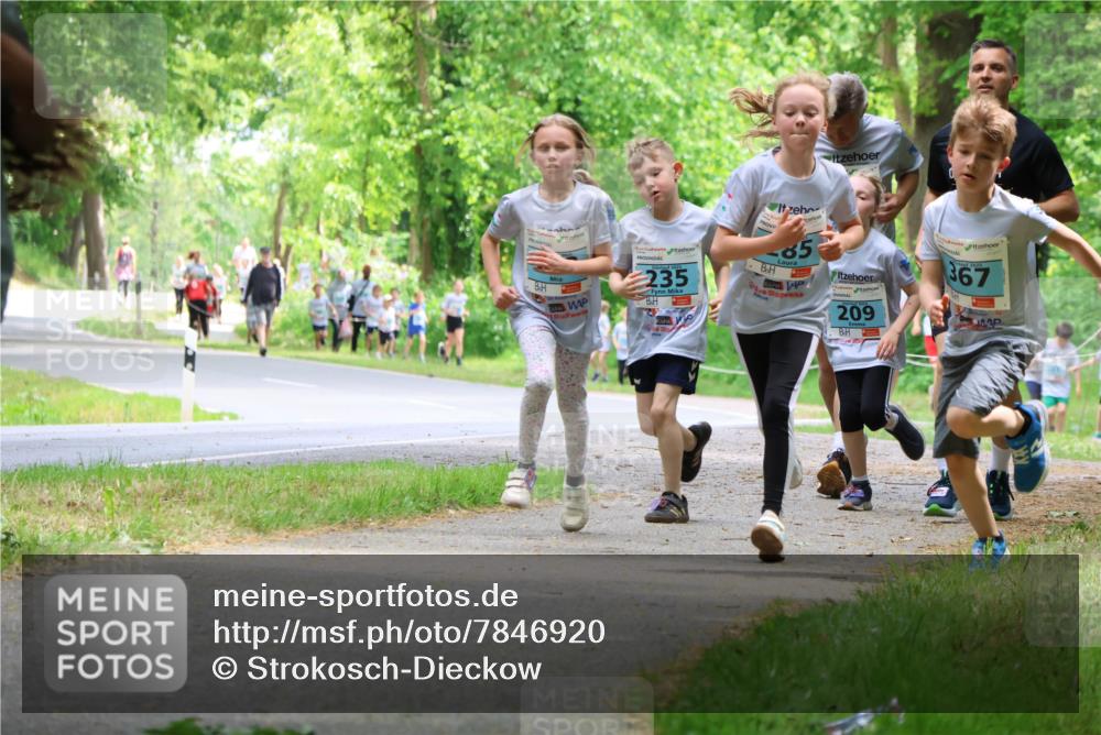 17.05.2025 - Störlauf Strokosch-Dieckow http://msf.ph/oto/7846920 17.05.2025 13:40:12 Laufen 235, 85, 209, 367 meine-sportfotos.de
