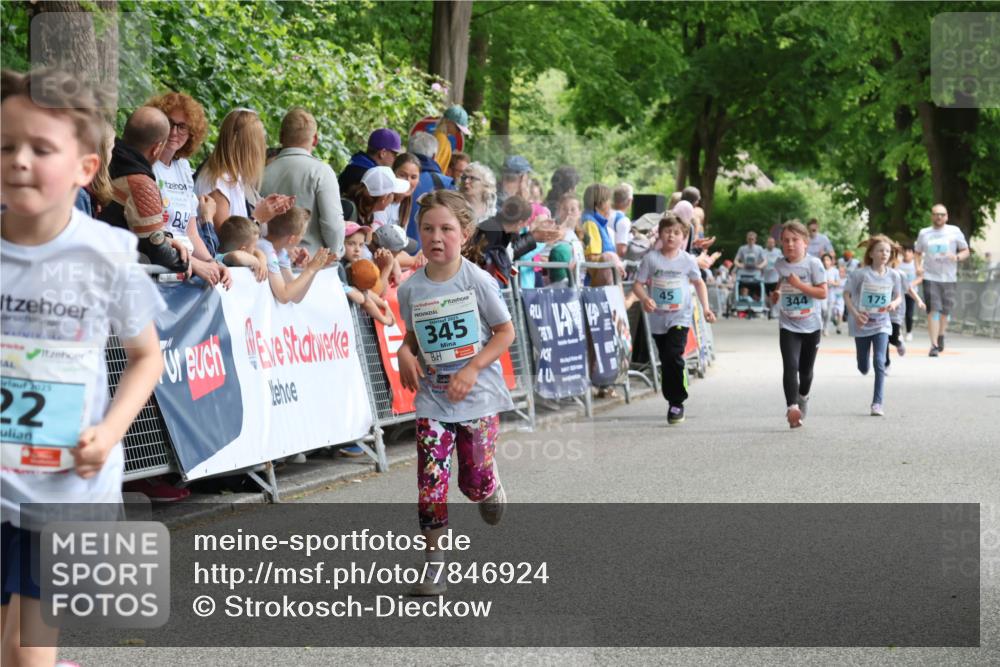 17.05.2025 - Störlauf Strokosch-Dieckow http://msf.ph/oto/7846924 17.05.2025 13:43:14 Ziel 2025, 22, 345, 45, 344, 175 meine-sportfotos.de