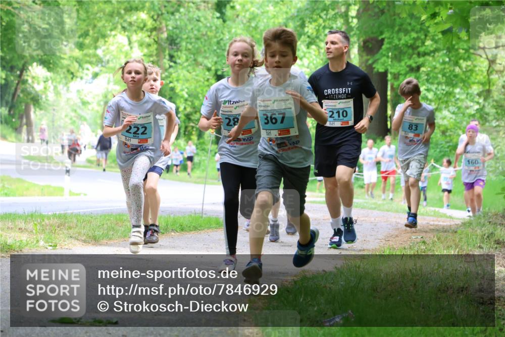 17.05.2025 - Störlauf Strokosch-Dieckow http://msf.ph/oto/7846929 17.05.2025 13:40:13 Laufen 222, 28, 2025, 367, 210, 83, 160 meine-sportfotos.de