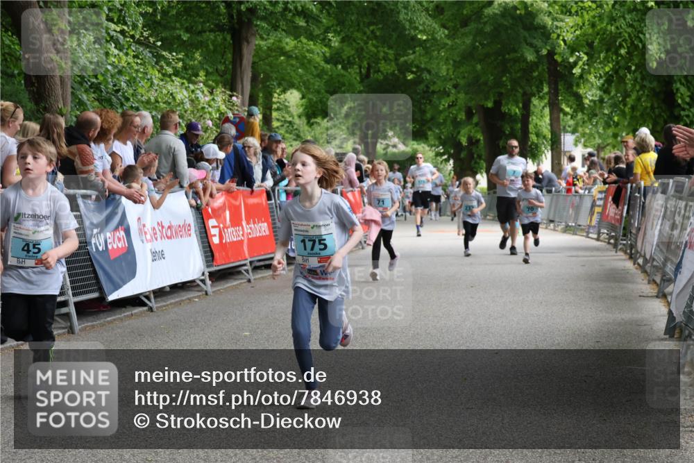 17.05.2025 - Störlauf Strokosch-Dieckow http://msf.ph/oto/7846938 17.05.2025 13:43:19 Ziel 45, 175 meine-sportfotos.de