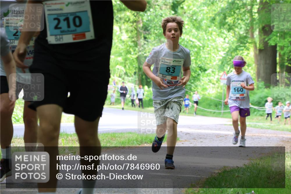 17.05.2025 - Störlauf Strokosch-Dieckow http://msf.ph/oto/7846960 17.05.2025 13:40:17 Laufen 25, 210, 2025, 83, 160 meine-sportfotos.de