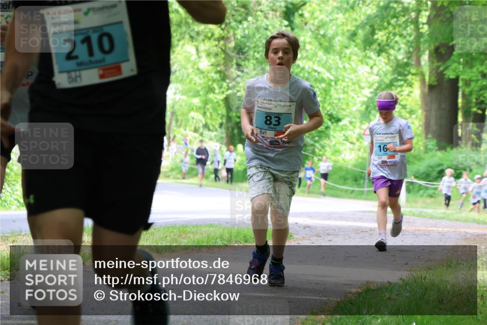 17.05.2025 - Störlauf Strokosch-Dieckow http://msf.ph/oto/7846968 17.05.2025 13:40:18 Laufen 210, 2025, 83, 16 meine-sportfotos.de