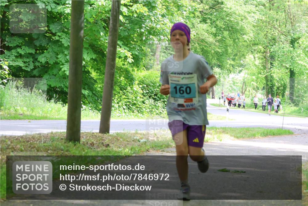 17.05.2025 - Störlauf Strokosch-Dieckow http://msf.ph/oto/7846972 17.05.2025 13:40:23 Laufen 160 meine-sportfotos.de