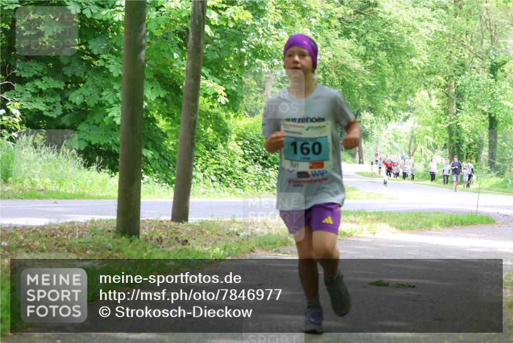 17.05.2025 - Störlauf Strokosch-Dieckow http://msf.ph/oto/7846977 17.05.2025 13:40:23 Laufen 160 meine-sportfotos.de