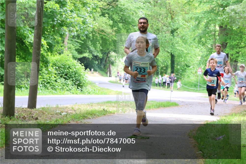 17.05.2025 - Störlauf Strokosch-Dieckow http://msf.ph/oto/7847005 17.05.2025 13:40:27 Laufen 233, 221, 220 meine-sportfotos.de