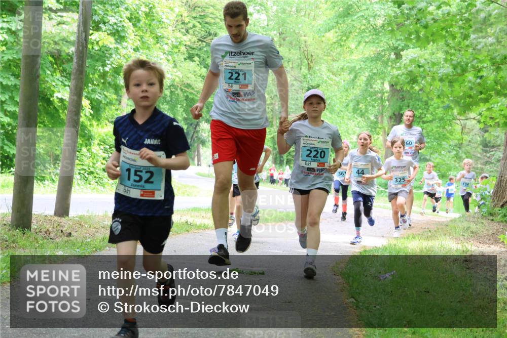 17.05.2025 - Störlauf Strokosch-Dieckow http://msf.ph/oto/7847049 17.05.2025 13:40:32 Laufen 2025, 152, 221, 220, 60, 367, 44, 325 meine-sportfotos.de