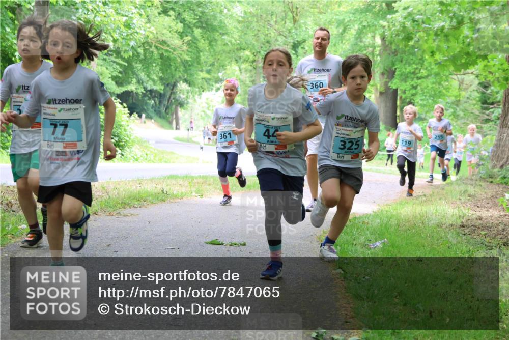 17.05.2025 - Störlauf Strokosch-Dieckow http://msf.ph/oto/7847065 17.05.2025 13:40:35 Laufen 360, 2025, 77, 361, 44, 325, 119, 215 meine-sportfotos.de