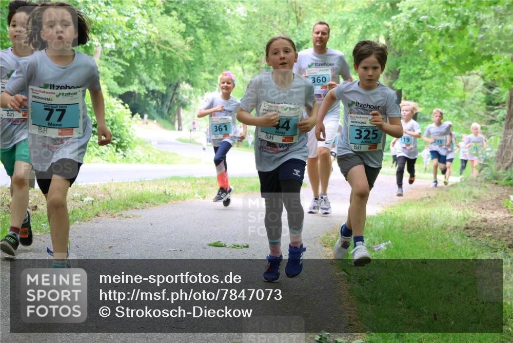 17.05.2025 - Störlauf Strokosch-Dieckow http://msf.ph/oto/7847073 17.05.2025 13:40:35 Laufen 2025, 77, 360, 361, 44, 2025, 325, 119 meine-sportfotos.de
