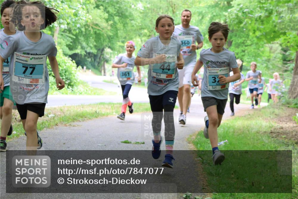 17.05.2025 - Störlauf Strokosch-Dieckow http://msf.ph/oto/7847077 17.05.2025 13:40:35 Laufen 2025, 77, 361, 360, 44, 32 meine-sportfotos.de