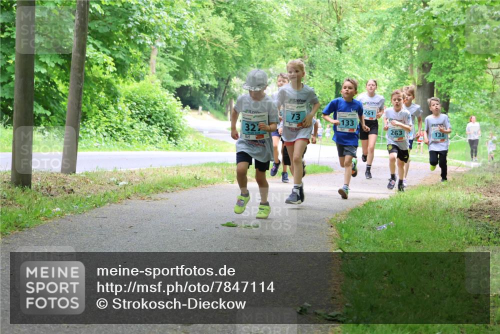 17.05.2025 - Störlauf Strokosch-Dieckow http://msf.ph/oto/7847114 17.05.2025 13:40:43 Laufen 32, 73, 133, 261, 263, 138 meine-sportfotos.de