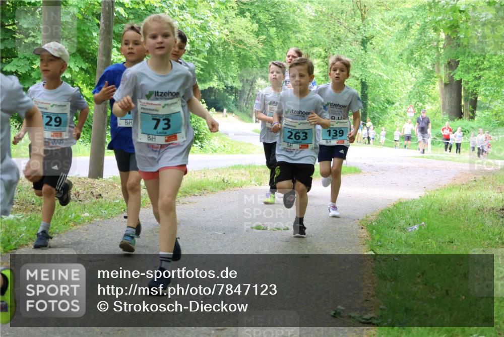 17.05.2025 - Störlauf Strokosch-Dieckow http://msf.ph/oto/7847123 17.05.2025 13:40:45 Laufen 263, 139, 2025, 29, 2025, 73 meine-sportfotos.de