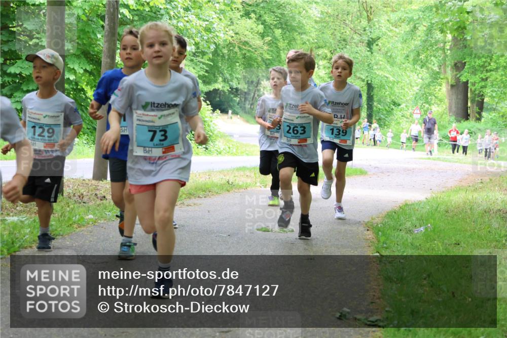 17.05.2025 - Störlauf Strokosch-Dieckow http://msf.ph/oto/7847127 17.05.2025 13:40:45 Laufen 129, 2025, 73, 263, 139 meine-sportfotos.de