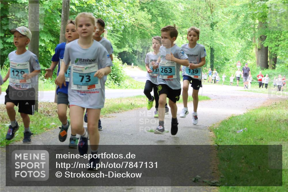 17.05.2025 - Störlauf Strokosch-Dieckow http://msf.ph/oto/7847131 17.05.2025 13:40:45 Laufen 13263, 129, 2029, 73, 139 meine-sportfotos.de