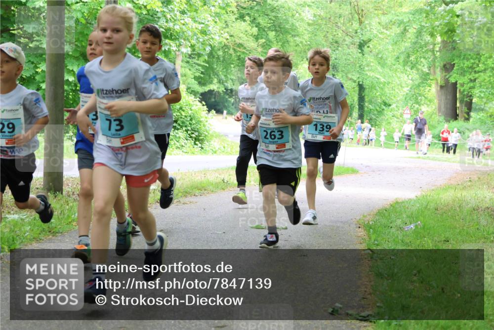 17.05.2025 - Störlauf Strokosch-Dieckow http://msf.ph/oto/7847139 17.05.2025 13:40:45 Laufen 29, 73, 263, 139 meine-sportfotos.de