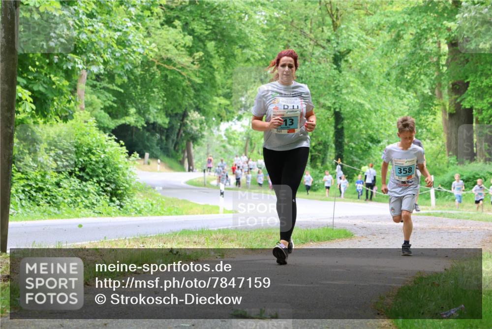 17.05.2025 - Störlauf Strokosch-Dieckow http://msf.ph/oto/7847159 17.05.2025 13:40:56 Laufen 13, 358 meine-sportfotos.de