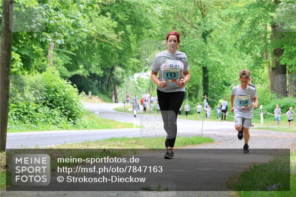 17.05.2025 - Störlauf Strokosch-Dieckow http://msf.ph/oto/7847163 17.05.2025 13:40:56 Laufen 113, 358 meine-sportfotos.de