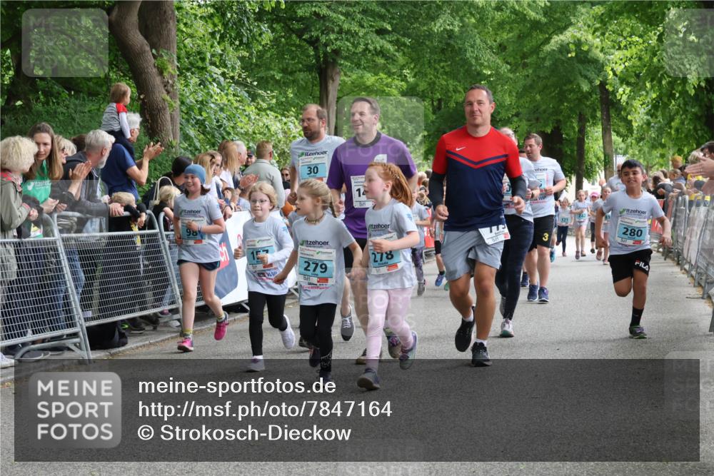 17.05.2025 - Störlauf Strokosch-Dieckow http://msf.ph/oto/7847164 17.05.2025 13:45:04 Ziel 98, 30, 14, 279, 278, 3, 280 meine-sportfotos.de