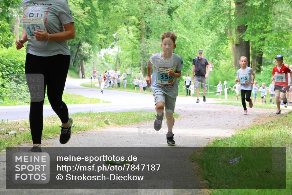17.05.2025 - Störlauf Strokosch-Dieckow http://msf.ph/oto/7847187 17.05.2025 13:40:58 Laufen 113, 4, 350, 150, 208 meine-sportfotos.de