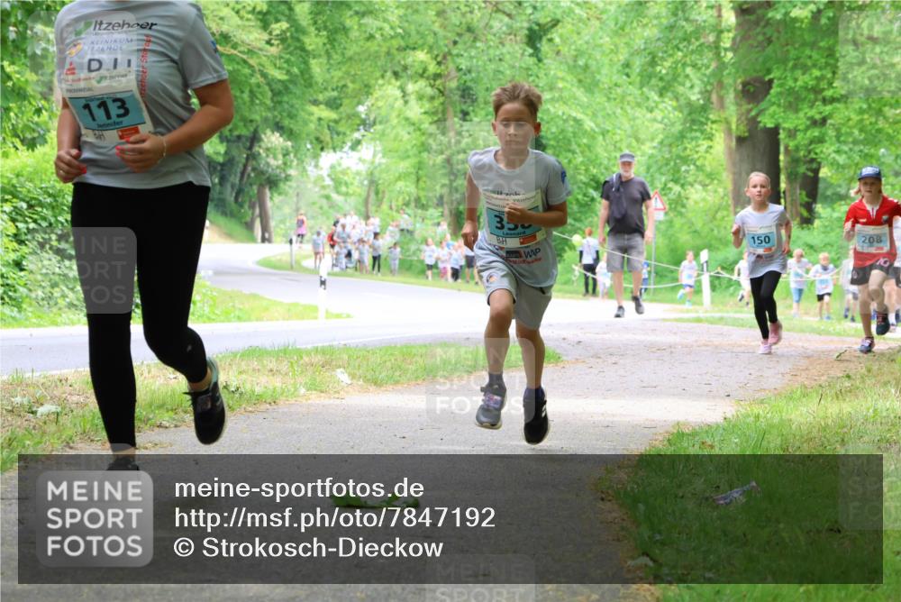 17.05.2025 - Störlauf Strokosch-Dieckow http://msf.ph/oto/7847192 17.05.2025 13:40:58 Laufen 113, 350, 150, 208 meine-sportfotos.de