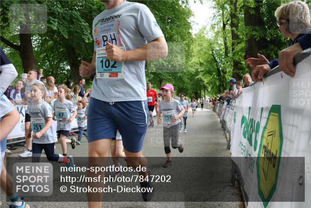 17.05.2025 - Störlauf Strokosch-Dieckow http://msf.ph/oto/7847202 17.05.2025 13:45:15 Ziel 251, 67, 102, 334, 126 meine-sportfotos.de