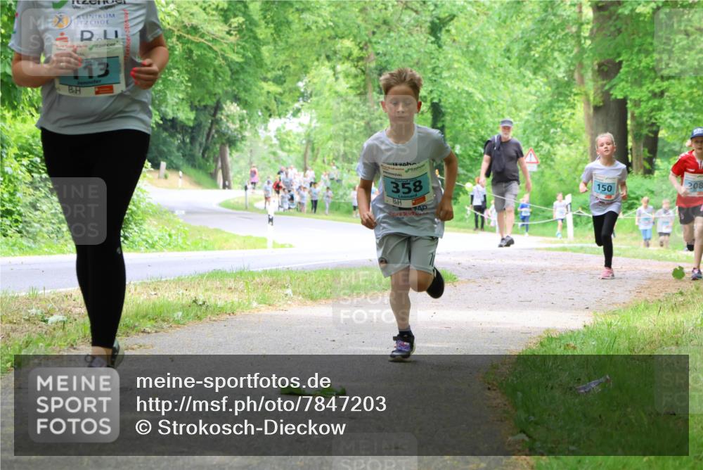 17.05.2025 - Störlauf Strokosch-Dieckow http://msf.ph/oto/7847203 17.05.2025 13:40:58 Laufen 113, 358, 150, 208 meine-sportfotos.de