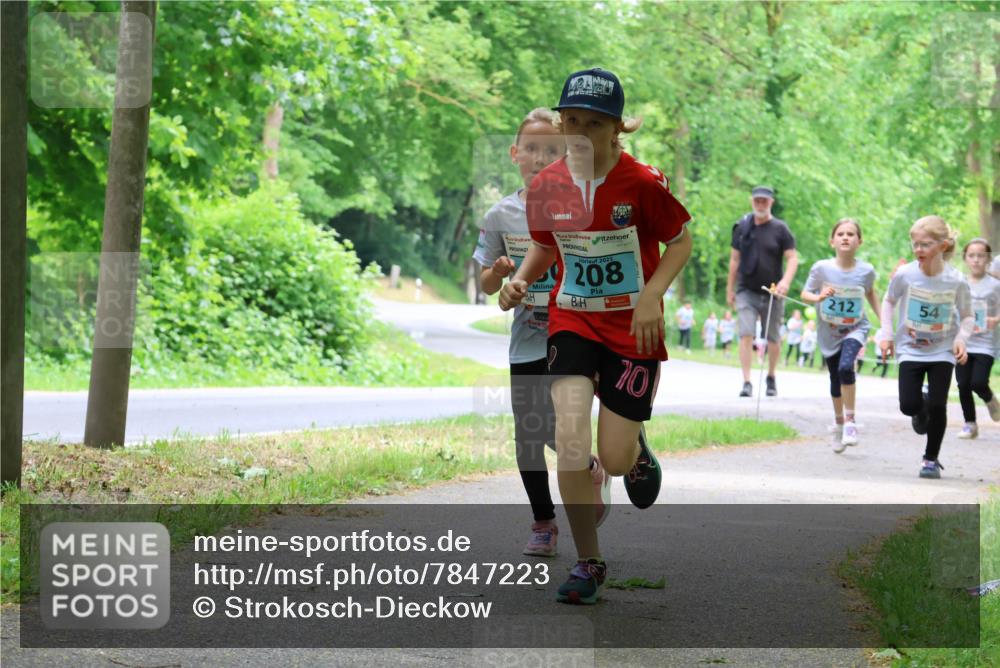 17.05.2025 - Störlauf Strokosch-Dieckow http://msf.ph/oto/7847223 17.05.2025 13:41:03 Laufen 2025, 208, 70, 212, 54 meine-sportfotos.de