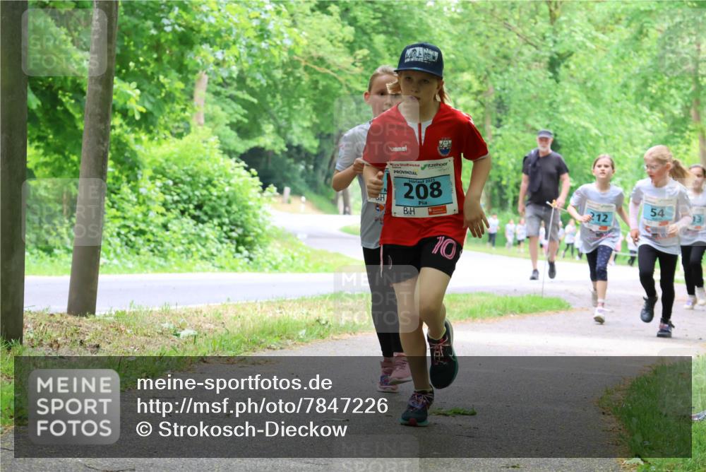 17.05.2025 - Störlauf Strokosch-Dieckow http://msf.ph/oto/7847226 17.05.2025 13:41:03 Laufen 2025, 208, 10, 54, 212 meine-sportfotos.de