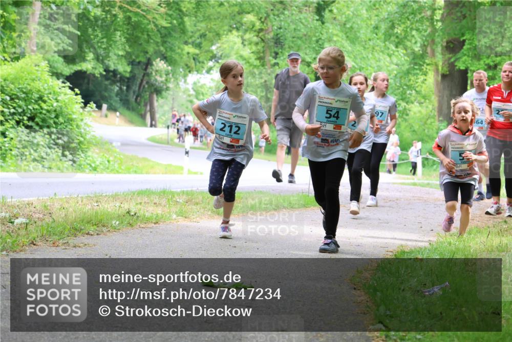 17.05.2025 - Störlauf Strokosch-Dieckow http://msf.ph/oto/7847234 17.05.2025 13:41:05 Laufen 2025, 212, 2025, 54, 97, 864 meine-sportfotos.de