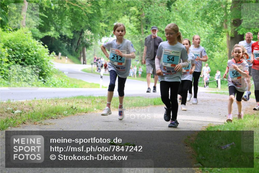 17.05.2025 - Störlauf Strokosch-Dieckow http://msf.ph/oto/7847242 17.05.2025 13:41:05 Laufen 212, 54, 56, 20 meine-sportfotos.de