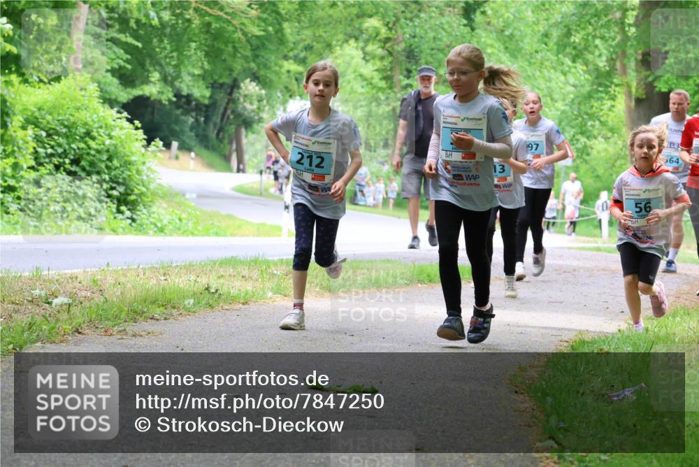17.05.2025 - Störlauf Strokosch-Dieckow http://msf.ph/oto/7847250 17.05.2025 13:41:05 Laufen 212, 97, 56, 364 meine-sportfotos.de